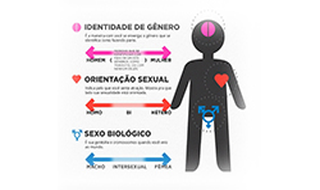 Diversidade de gênero em questão no Brasil