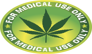 O uso da Cannabis medicinal no Brasil