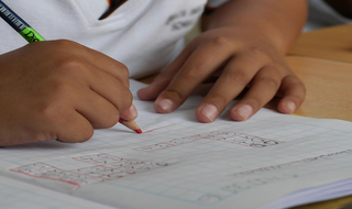 Desafios para a educação de pessoas com transtornos neurológicos nas escolas brasileiras